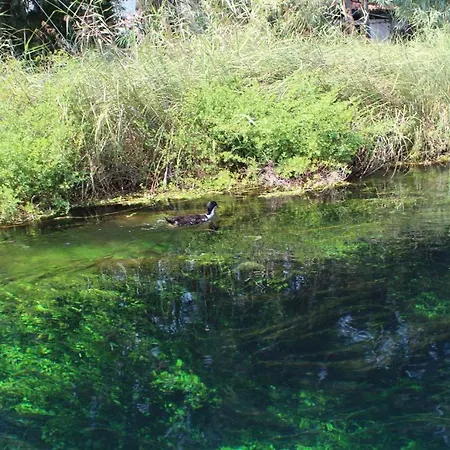 Szálloda Caretta 3*