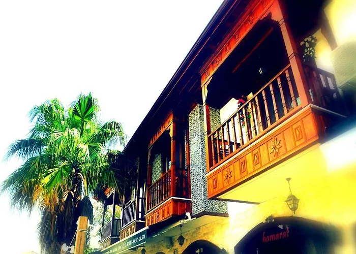 Caretta 아키아카